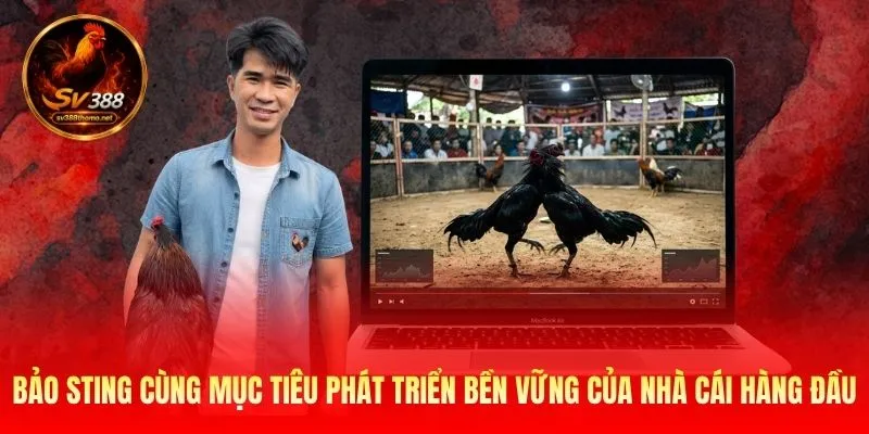 Bảo Sting Và Hành Trình Xây Dựng Thương Hiệu SV388 Nổi Tiếng 3 Bảo Sting cùng mục tiêu phát triển bền vững của nhà cái hàng đầu