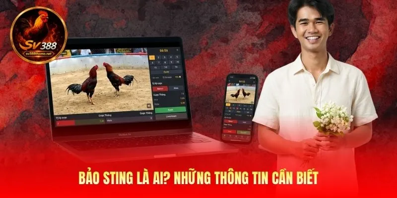 Bảo Sting Và Hành Trình Xây Dựng Thương Hiệu SV388 Nổi Tiếng 1 Bảo Sting là ai? Những thông tin cần biết