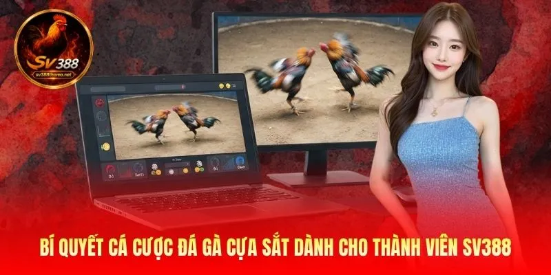 Đá Gà Cựa Sắt SV388 Đỉnh Cao Và Bí Mật Thắng Lớn Mỗi Ngày 4 Bí quyết cá cược đá gà cựa sắt dành cho thành viên SV388