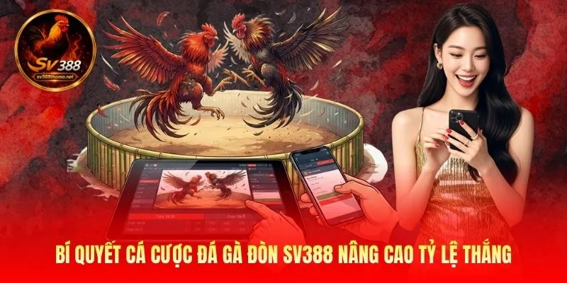 Bí quyết cá cược đá gà đòn SV388 nâng cao tỷ lệ thắng