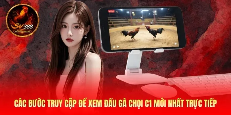 Các bước truy cập để xem đấu gà chọi C1 mới nhất trực tiếp