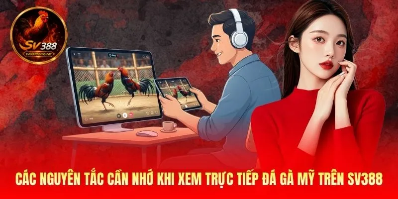 Các nguyên tắc cần nhớ khi xem trực tiếp đá gà Mỹ trên SV388