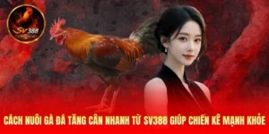 Cách Nuôi Gà Đá Tăng Cân