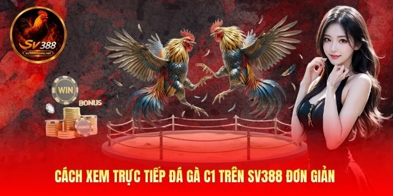 Cách xem trực tiếp đá gà C1 trên SV388 đơn giản 