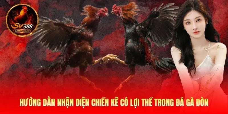 Có thể dựa vào nhiều đặc điểm để dự đoán gà có đòn độc 