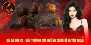 đá gà đòn c1