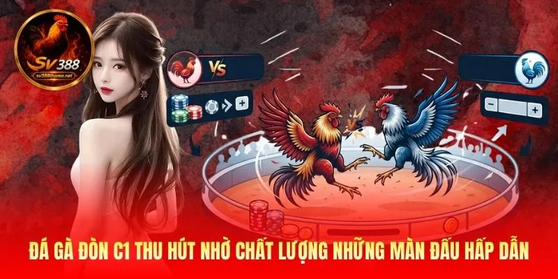 Đá gà đòn C1 thu hút nhờ chất lượng những màn đấu hấp dẫn