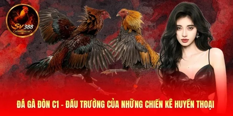 đá gà đòn c1