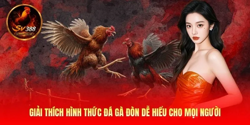 Đá gà đòn độc được hiểu như thế nào?