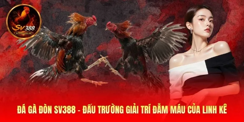 đá gà đòn