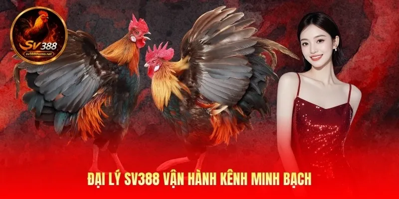 dai-ly-sv388-van-hanh-kenh-minh-bach