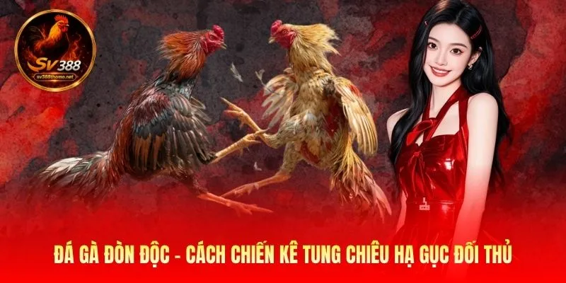 Đá gà đòn độc