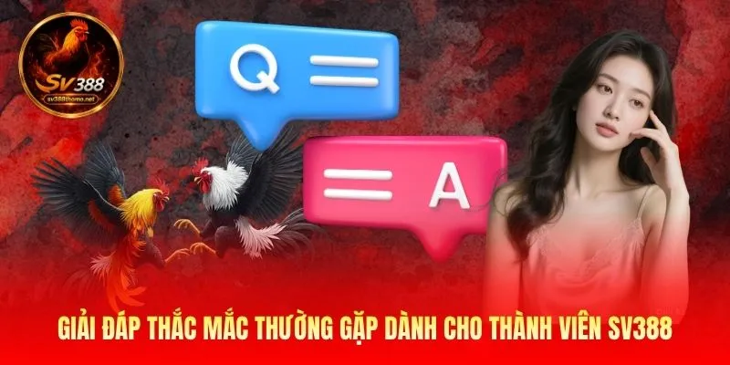 Giải đáp thắc mắc thường gặp dành cho thành viên SV388