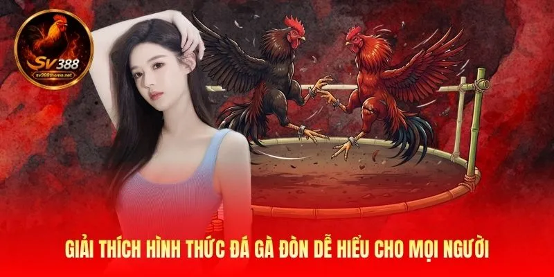 Giải thích hình thức đá gà đòn dễ hiểu cho mọi người