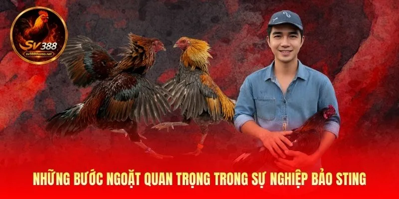 Bảo Sting Và Hành Trình Xây Dựng Thương Hiệu SV388 Nổi Tiếng 2 Những bước ngoặt quan trọng trong sự nghiệp Bảo Sting