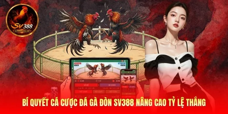 Những thế đá gà đòn độc được nhiều sư kê đánh giá cao 