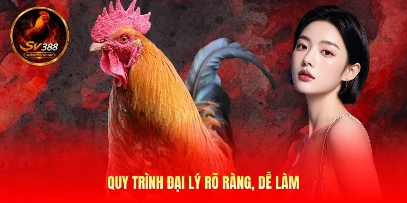 quy-trinh-dai-ly-ro-rang-de-lam