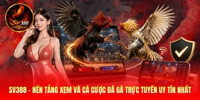 SV388 - Nền tảng xem và cá cược đá gà trực tuyến uy tín nhất