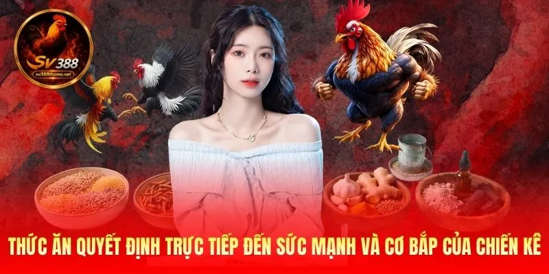 Cách Nuôi Gà Đá Cựa Sắt - 3 Yếu Tố Để Chiến Kê Mạnh Mẽ 2 Thức ăn quyết định trực tiếp đến sức mạnh và cơ bắp của chiến kê