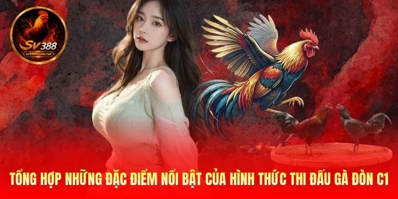 Tổng hợp những đặc điểm nổi bật của hình thức thi đấu gà đòn C1